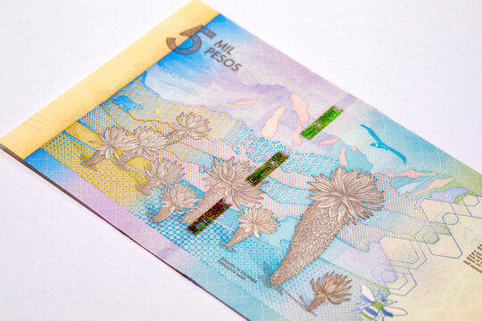 5000 Colombian pesos banknote featuring the P&aacute;ramo ecosystem, Espeletia plants (frailejones). Colombia currency. South American money.