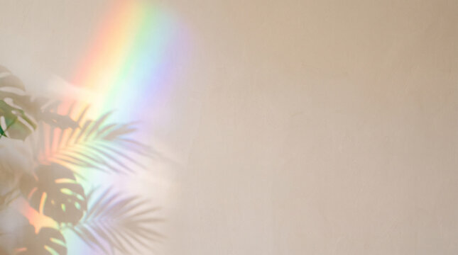 Pastel Rainbow Prism Light and Monstera Plant Shadow on Wall for Manifestation Background
