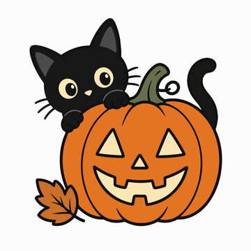 Cute black cat peeking behind orange carved jack o lantern pumpkin for halloween design.