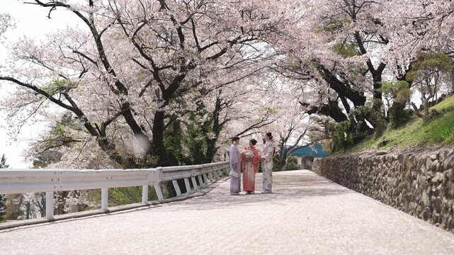 A wide paved street is framed by flowering cherry trees, with three women in kimonos, a baby and a parasol. Japan, April 19, 2025, spring.