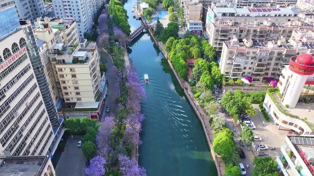 Aerial View of City Canal with Purple Jacaranda Trees in China