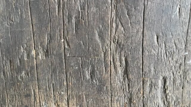 Weathered Wood Texture: Close-up view of aged, weathered wood grain showing intricate details of natural patterns and wear, providing a rustic and textured background.