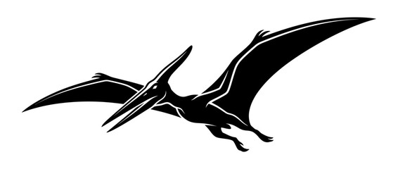 Silhouette of a Pterodactyl flying isolated on white © anting