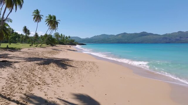 Aerial view of pristine tropical beach with palm trees and turquoise ocean waves moving towards sand shore on sunny day.
