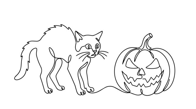 Continuous line art of scared cat with arched back and carved halloween pumpkin vector illustration