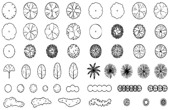 Landscape CAD Tree Symbols Collection in Top View Line Art Vector Set