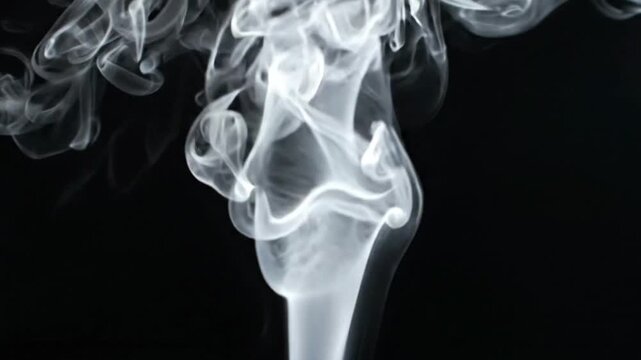 Abstract white smoke swirls rising on a black background loop