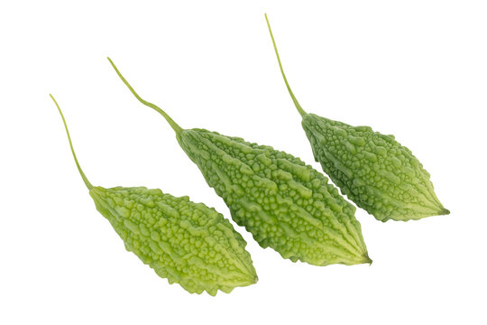 bitter melon isolated on white background. This has clipping path.