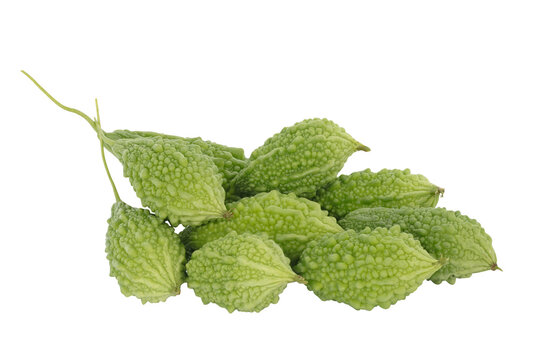 bitter melon isolated on white background. This has clipping path.