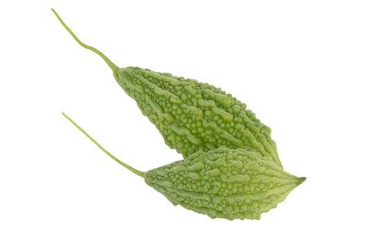 bitter melon isolated on white background. This has clipping path.