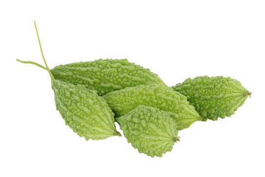 bitter melon isolated on white background. This has clipping path.