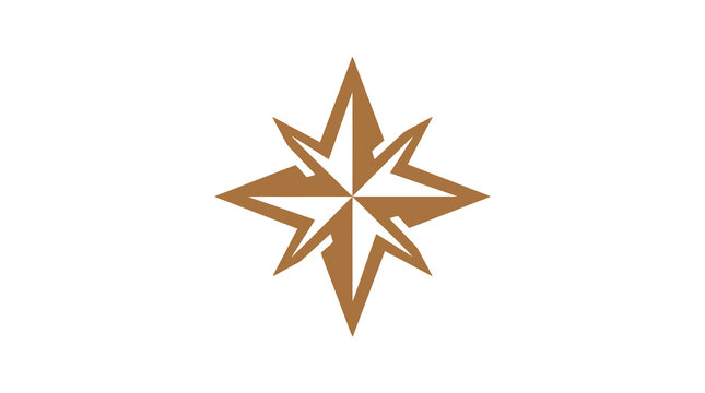 Stylized brown compass rose navigation star icon.