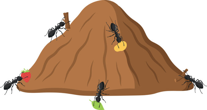 Anthill vector illustration featuring working black ants carrying leaf strawberry and food crumbs isolated on white background