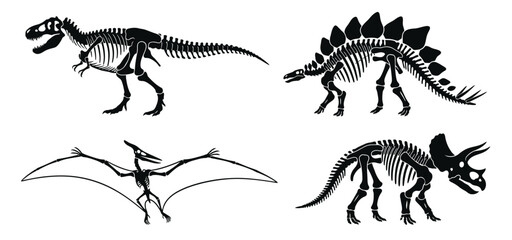 Dinosaur skeleton silhouettes, prehistoric fossil bone collection, set of 4 black dinosaur icons for museum education and science © Mary