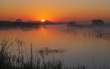 Fototapeta premium A breathtaking sunrise casts a vibrant orange glow over a misty, tranquil river lined with silhouettes of wild riverside grass