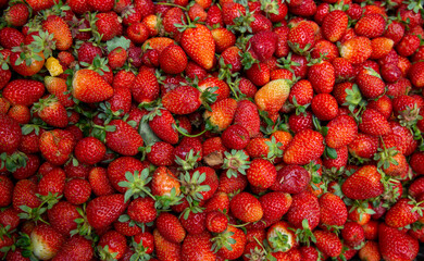 An abundant pattern of freshly picked organic strawberries filling the entire frame, showcasing vibrant red colors, natural textures, and green leaves in a flat lay presentation. © Caner