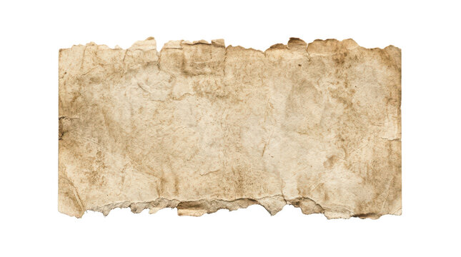 Old parchment paper scroll banner, antique retro manuscript page, isolated on transparent background