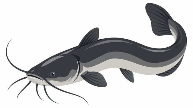 Flat Vector Catfish Illustration with Dynamic Swimming Pose Isolated on White Background