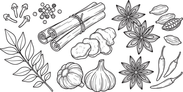 Hand drawn collection of aromatic spices and herbs in a detailed black and white line art style