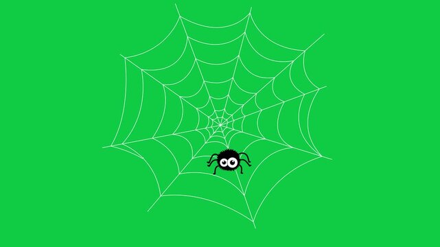 halloween spider on net webs loop isolated green screen animation,chroma key moving spider scary party celebration social media motion design element