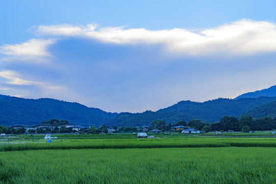 里山風景.田んぼ」の写真素材 | 15,735件の無料イラスト画像 | Adobe Stock 里山風景.田んぼ」の写真素材 | 15,735件の無料イラスト画像 | Adobe Stock