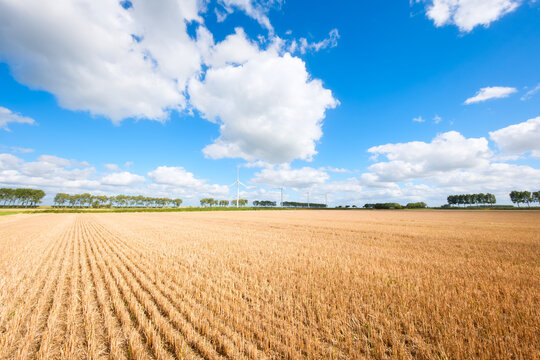Panoramic view of a harvested field and meadow under a sky with clouds. A small wind turbine stands in the background of the rural natural landscape.