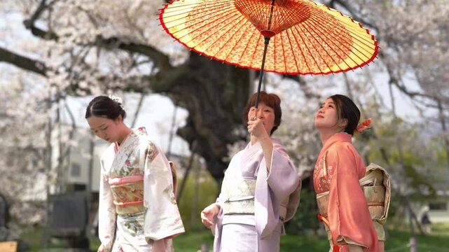 Three women in kimonos stand together as the woman in lavender holds a paper parasol above them. Japan, April 19, 2025, spring.