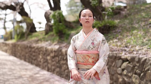A woman in a patterned kimono looks down at her hands above her obi beside a stone wall and cherry trees. Japan, April 19, 2025, spring.