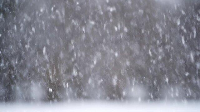 Gentle snowfall drifts down against a blurred urban background during a soft winter evening
