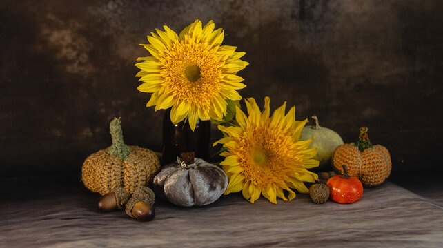 Autumn still life with crocheted pumpkins and sunflowers on a dark background.