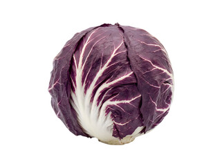 Obraz premium Fresh whole purple radicchio cabbage head with vibrant red and white leaves isolated on transparent background