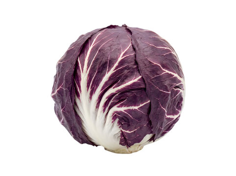 Fresh whole purple radicchio cabbage head with vibrant red and white leaves isolated on transparent background