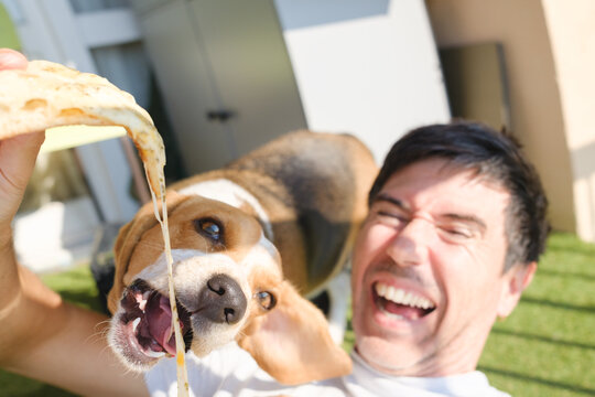 Dog stretching melted cheese from pizza slice and a man laughing