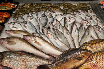 Obraz premium Display of various fish at a market in the morning hours showcasing fresh seafood options