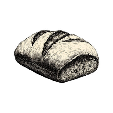 artisanal bread loaf with a scored crispy crust, designed in a classic monochrome ink engraving style for bakery branding, artisan cafe menus, and food packaging