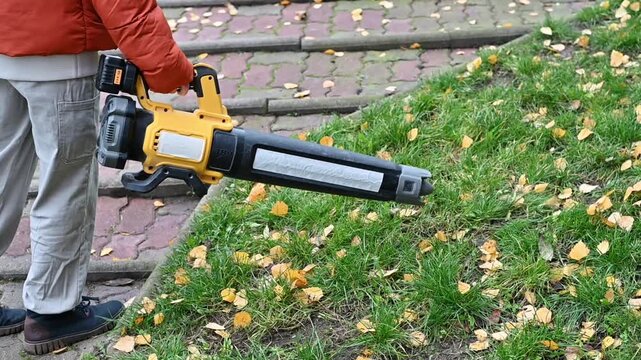 Teenage girl using a leaf blower to clear fallen leaves in autumn. Seasonal yard and garden cleanup, outdoor work, property maintenance, and fall home care.