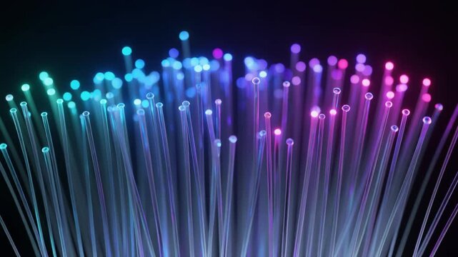 数百本の光ファイバーが暗闇に伸び青紫とマゼンタの発光球を先端に灯す