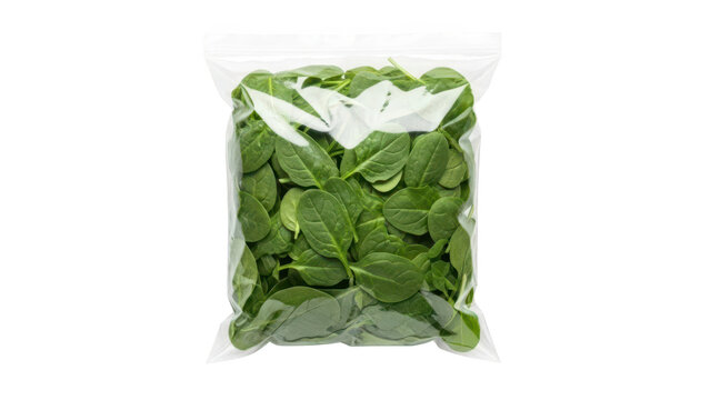 Fresh green spinach leaves packed in a clear plastic bag for sale at the market