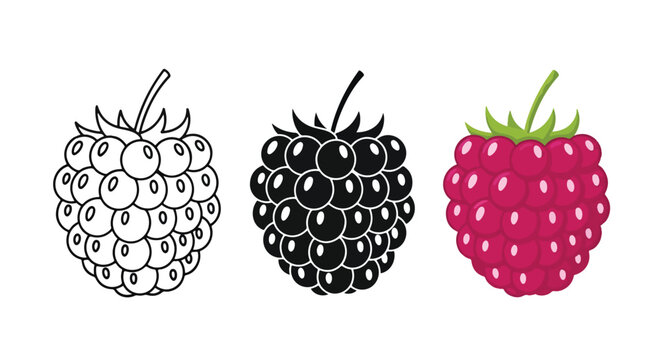 Raspberry vector icon set design