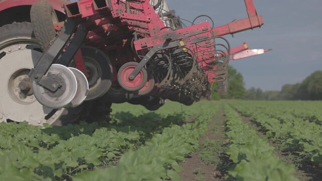 Agricultural Inter-row cultivator performing mechanical cultivation and weed control between rows of young sunflower plants in an agricultural field. slow motion ProRes 422 10 bit C-LOG video.