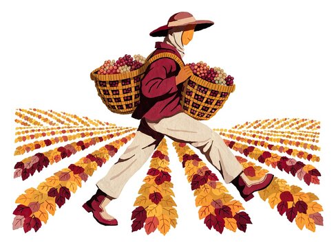 Vineyard tour with grape baskets and rolling vines for a beautiful fall vacation