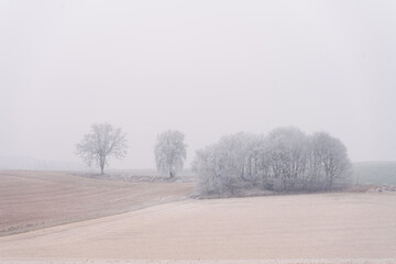 Bavarian winter countryside in frost and fog © Mrton