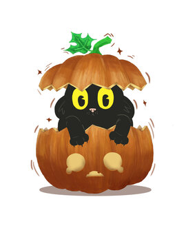 Funny surprised black cat peeking from a broken pumpkin, Halloween vector clipart