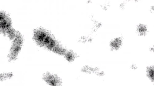 Abstract black smoke ink clouds white background motion featuring organic fluid shapes for overlay effects and experimental backgrounds.