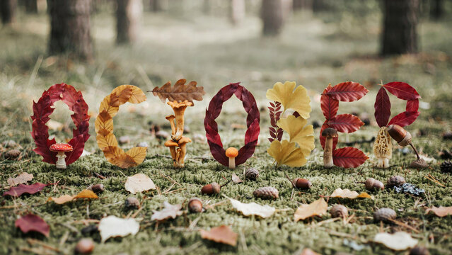 October word spelled with autumn leaves and mushrooms on forest moss. Seasonal fall foliage typography. Creative natural woodland calendar concept.
