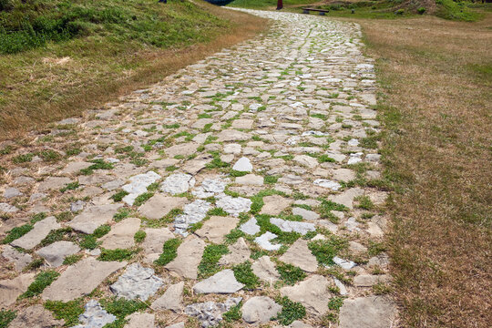 Old stone paved path with green grass growing between rocks