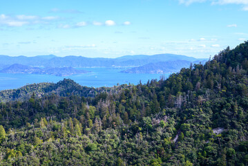 Fototapeta premium Scenic landscape view overlooking dense forest ridges, a blue sea, islands, and distant mountains under a bright sky in Japan