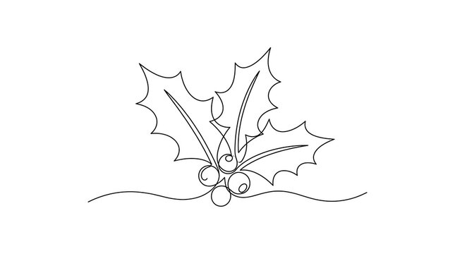 Holly leaves and berries continuous one line drawing with christmas minimalist continuous botanical celebration