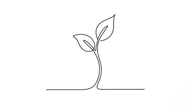 Minimalist continuous line drawing of a small sprouting plant with seedling minimalist illustration beginning creative