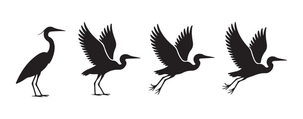Fototapeta premium Heron silhouette sequence shows transition from standing to flying for elegant wetland wildlife branding.
